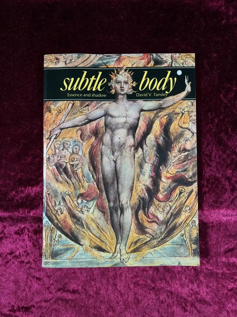 Vintage Paperback Book – The Subtle Body Essence and Shadow David V Tansley 1977